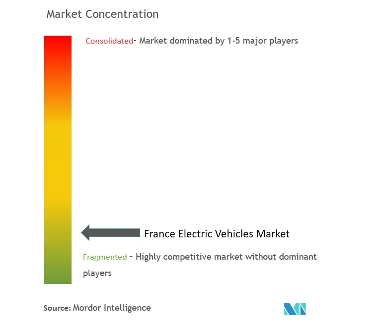 France Electric Vehicles Market Concentration
