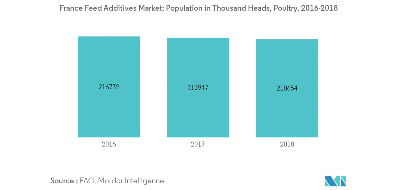 France Feed Additives Market