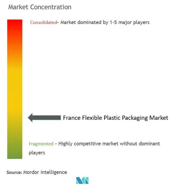 France Flexible Plastic Packaging Market Concentration