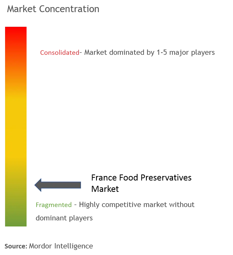 France Food Preservatives Market Concentration