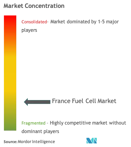 France Fuel Cell Market Concentration