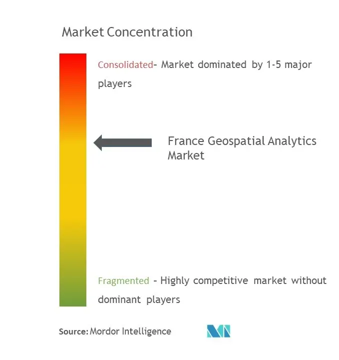 フランス地理空間分析市場の集中度