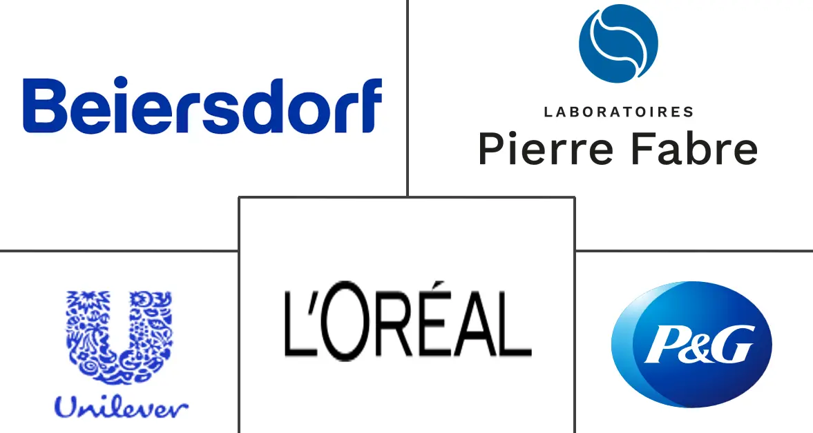 Hauptakteure in Frankreich Haarpflege-Markt Branche