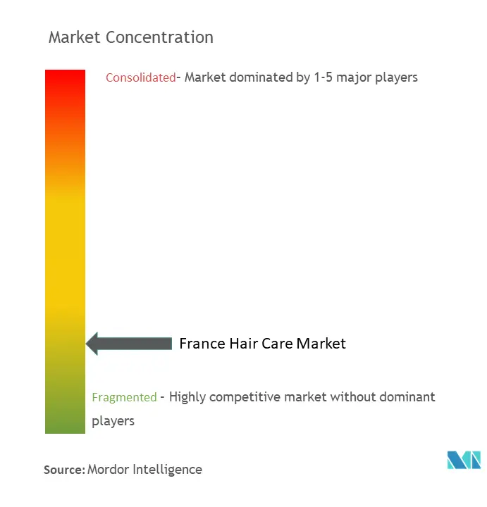 France Hair Care Market Concentration