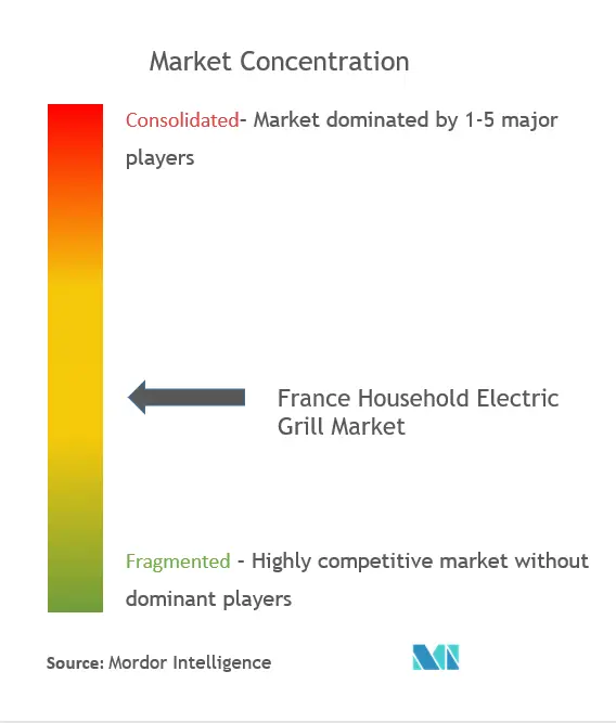 France Household Electric Grills Market Concentration