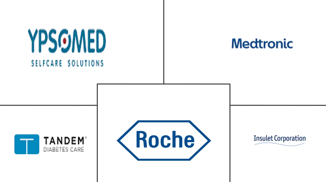 Major players in France Insulin Infusion Pump industry