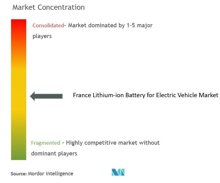 France Lithium-ion Battery For Electric Vehicle Market Concentration