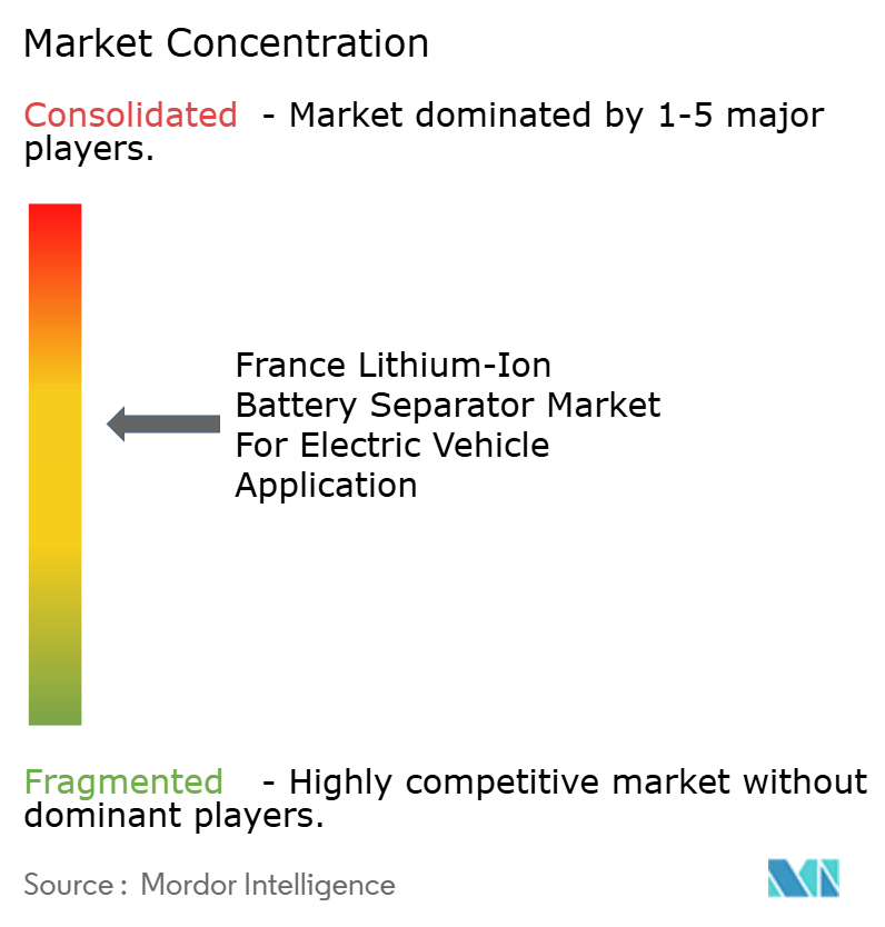 France Lithium-Ion Battery Separator Market Concentration