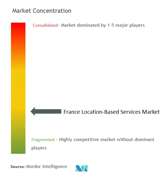 フランスの位置情報サービス市場集中度