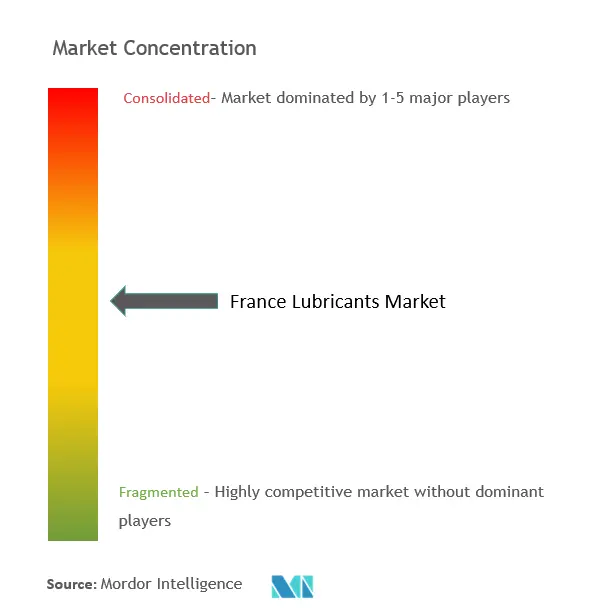 France Lubricants Market Concentration