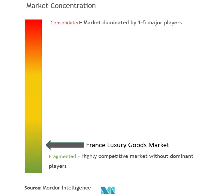 France Luxury Goods Market Concentration