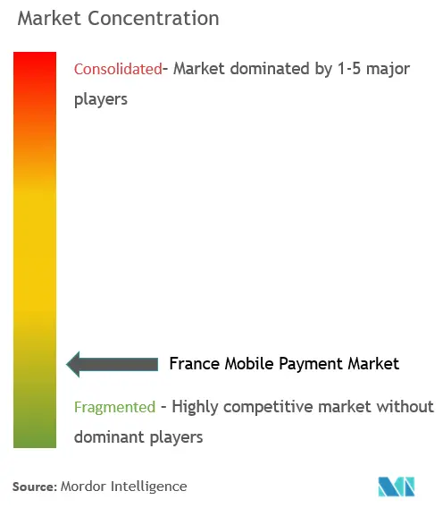 France Mobile Payment Market Concentration