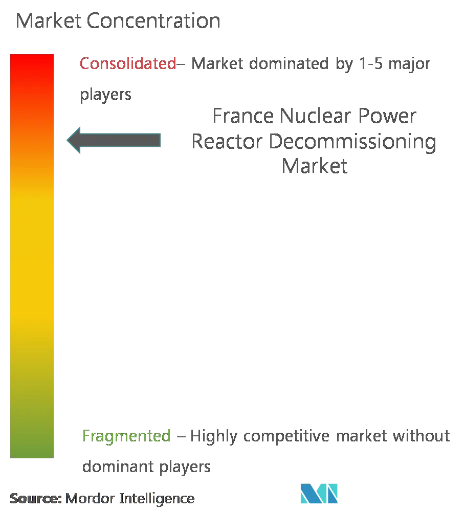 Market Concentration - France Nuclear Power Reactor Decommissioning Market.png
