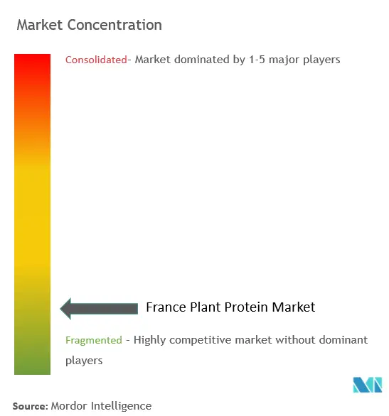 France Plant Protein Market Concentration