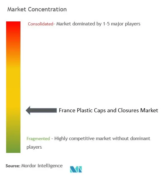 France Plastic Caps And Closures Market Concentration