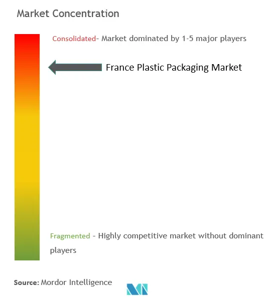 フランスのプラスチック包装市場集中度