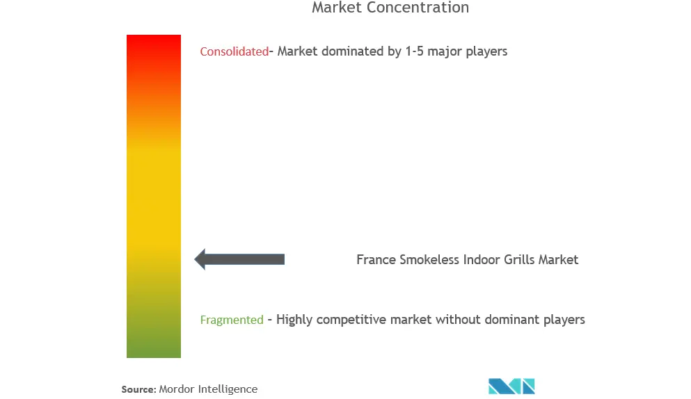 France Smokeless Indoor Grills Market Concentration