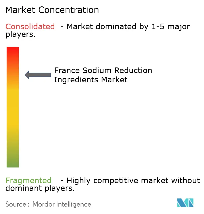 France Sodium Reduction Ingredients Market Concentration