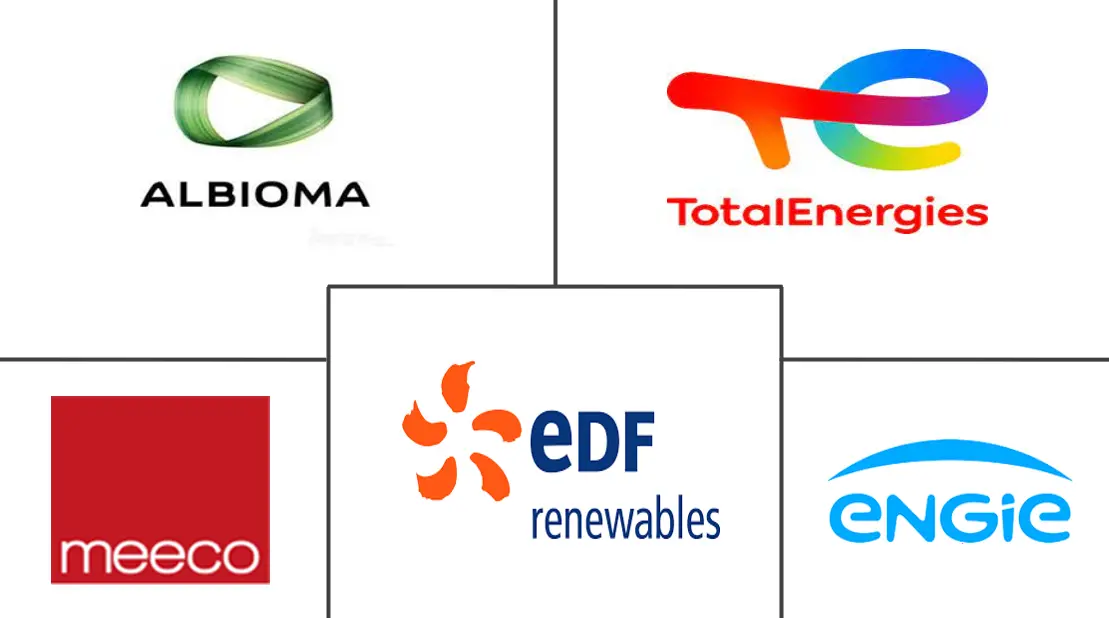 法国太阳能市场主要参与者