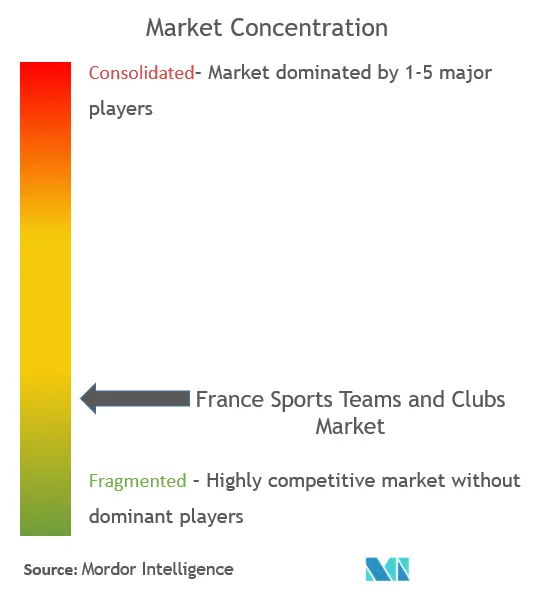 France Sports Teams And Clubs Market Concentration