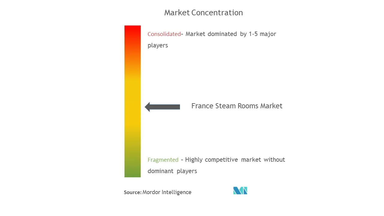 フランスのスチームルーム市場集中度