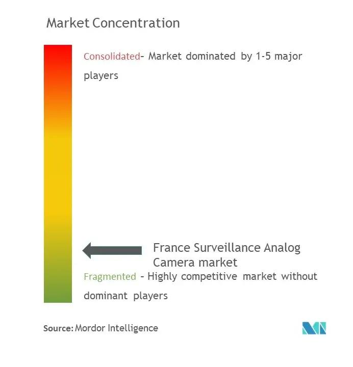 France Surveillance Analog Camera Market Size Concentration