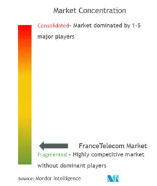 France Telecom Market Concentration