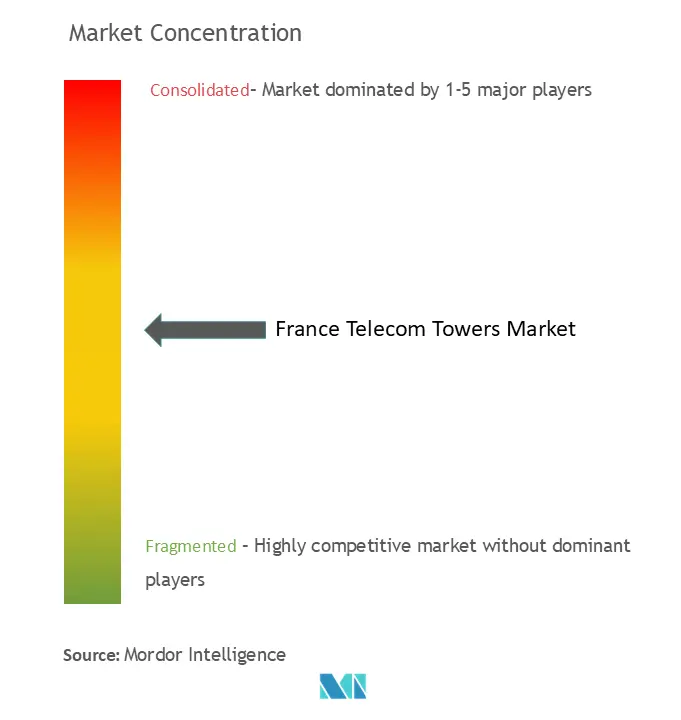 France Telecom Towers Market Concentration