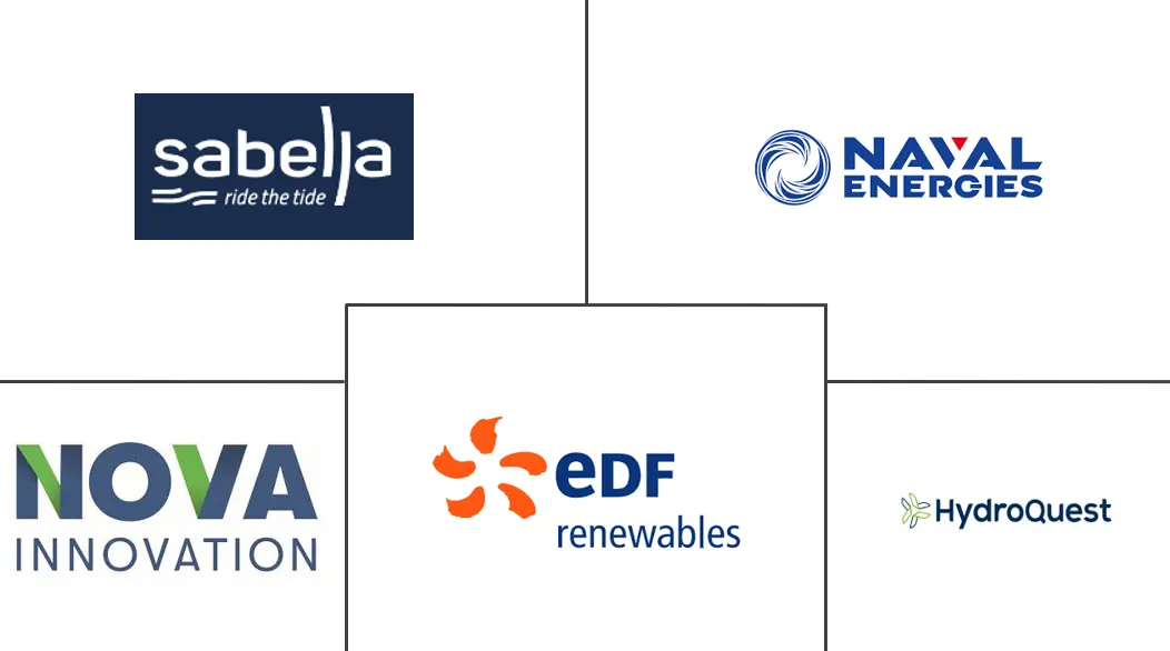 Principales actores en Mercado de Energía Mareomotriz de Francia industria