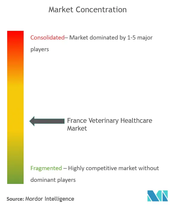 France Veterinary Healthcare Market - Market Conceentration.PNG