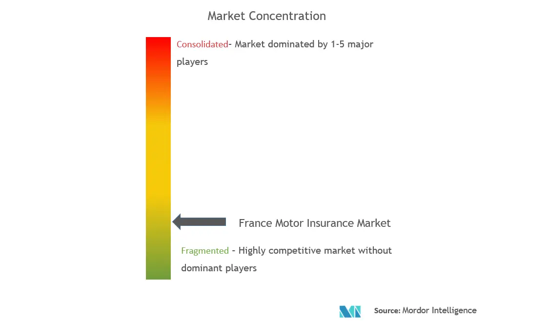 France Motor Insurance Market Concentration