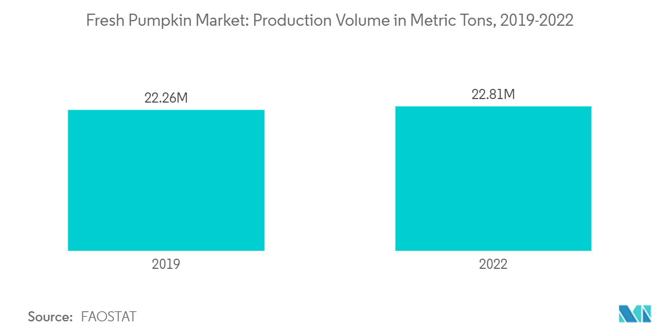 Fresh Pumpkin Market: Production Volume in Metric Tons, 2019-2022