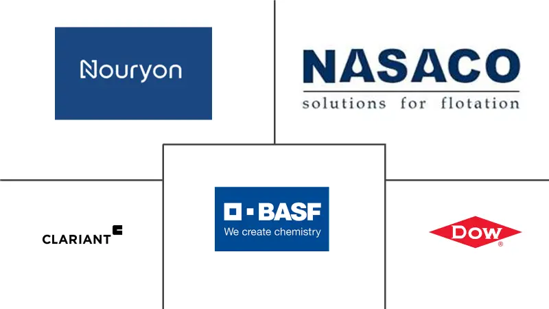 Froth Flotation Chemicals Market Key Players Principaux acteurs dans Marché des Produits Chimiques de Flottation par Mousse industrie