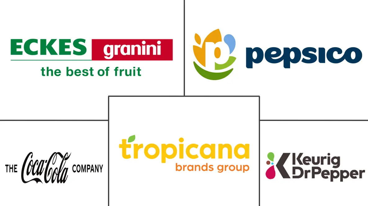 果実・野菜ジュース市場 主要プレーヤー