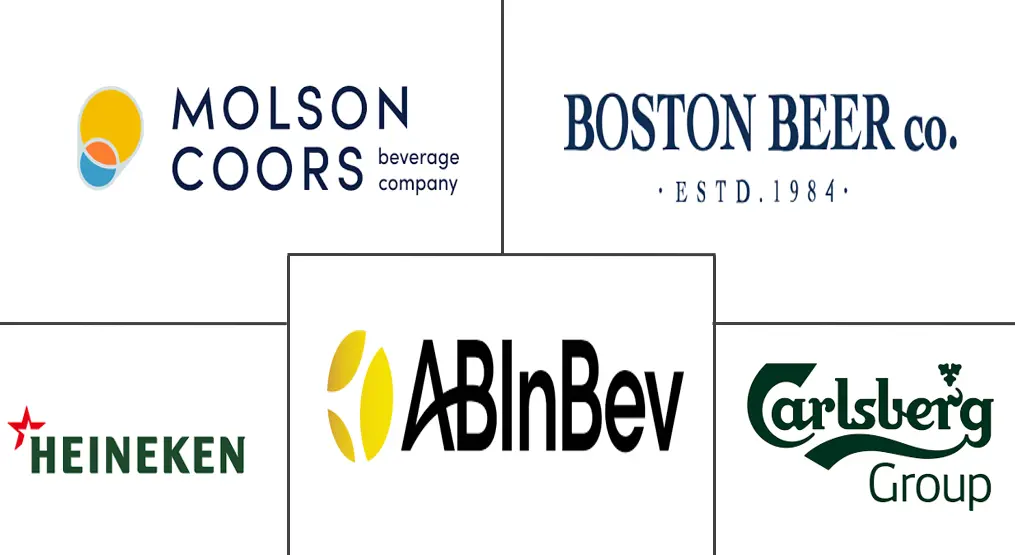 Major players in Fruit Beer industry