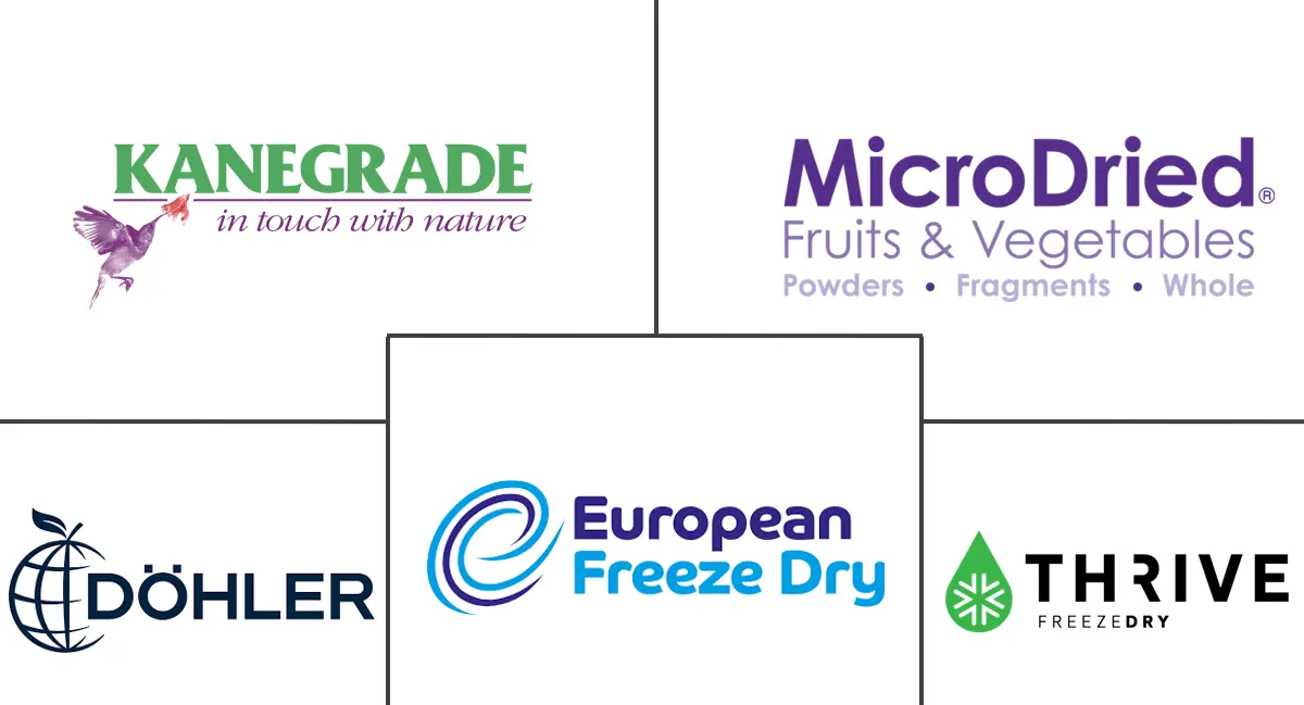 Major players in Fruit Powder industry