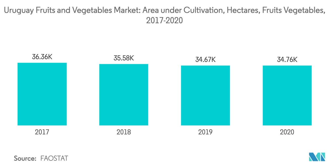 agriculture in Uruguay, fruits and vegetable cultivation in Uruguay
