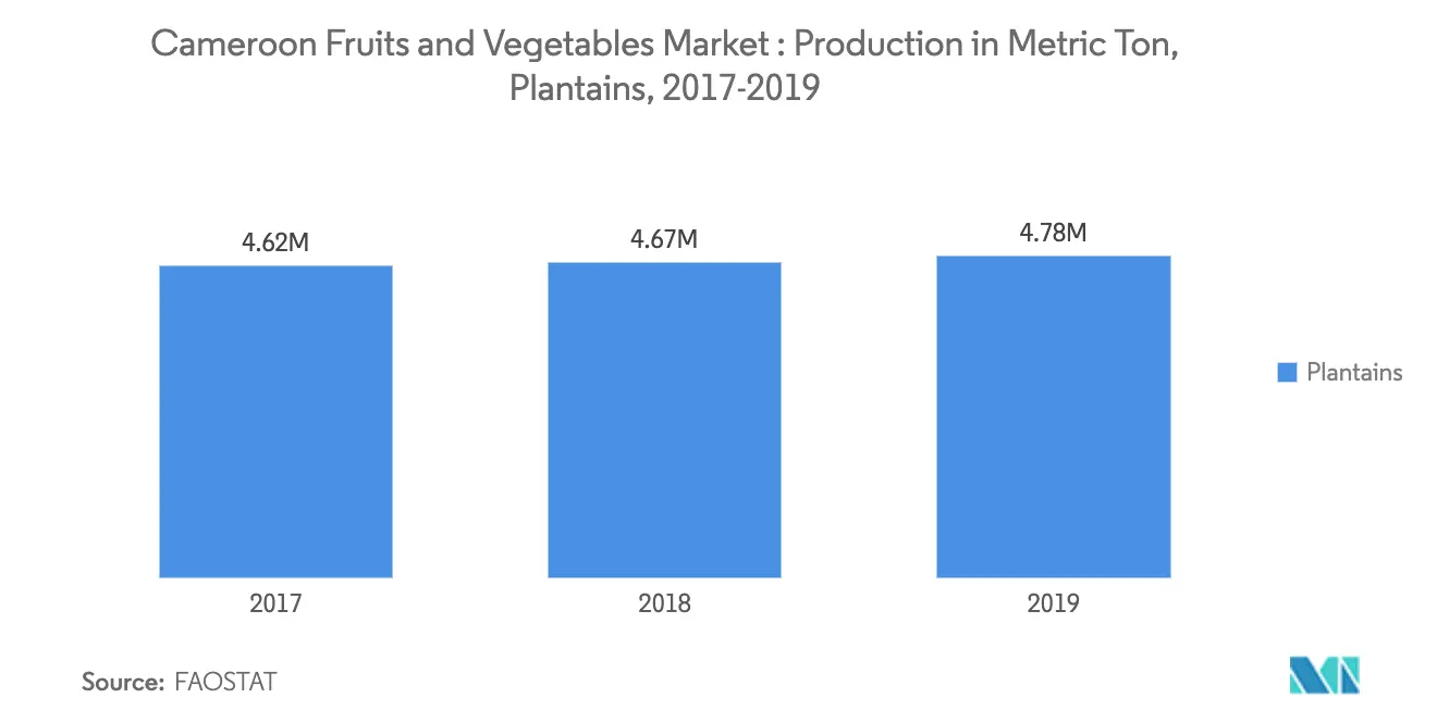 Fruits and Vegetable Industry in Cameroon