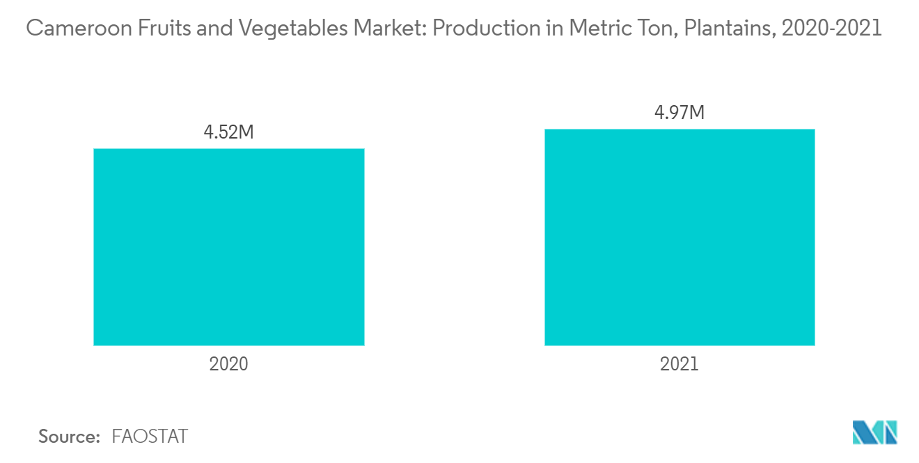Рынок фруктов и овощей Камеруна производство подорожников в метрических тоннах, 2020-2021 гг.