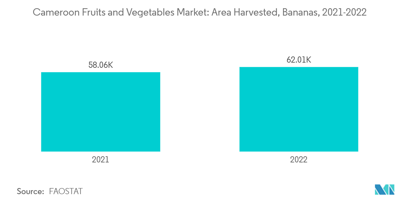 カメルーンの果物・野菜市場：収穫面積（バナナ） 2021-2022