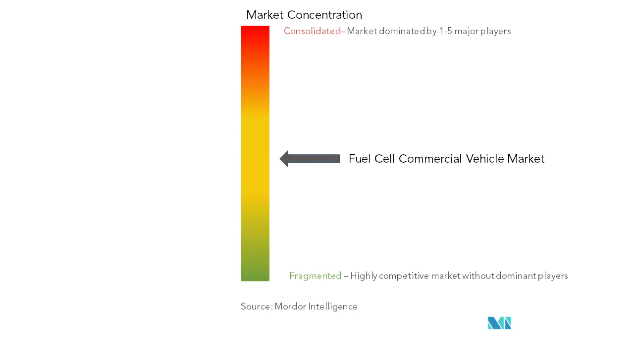 Fuel Cell Commercial Vehicle Market Concentratiion