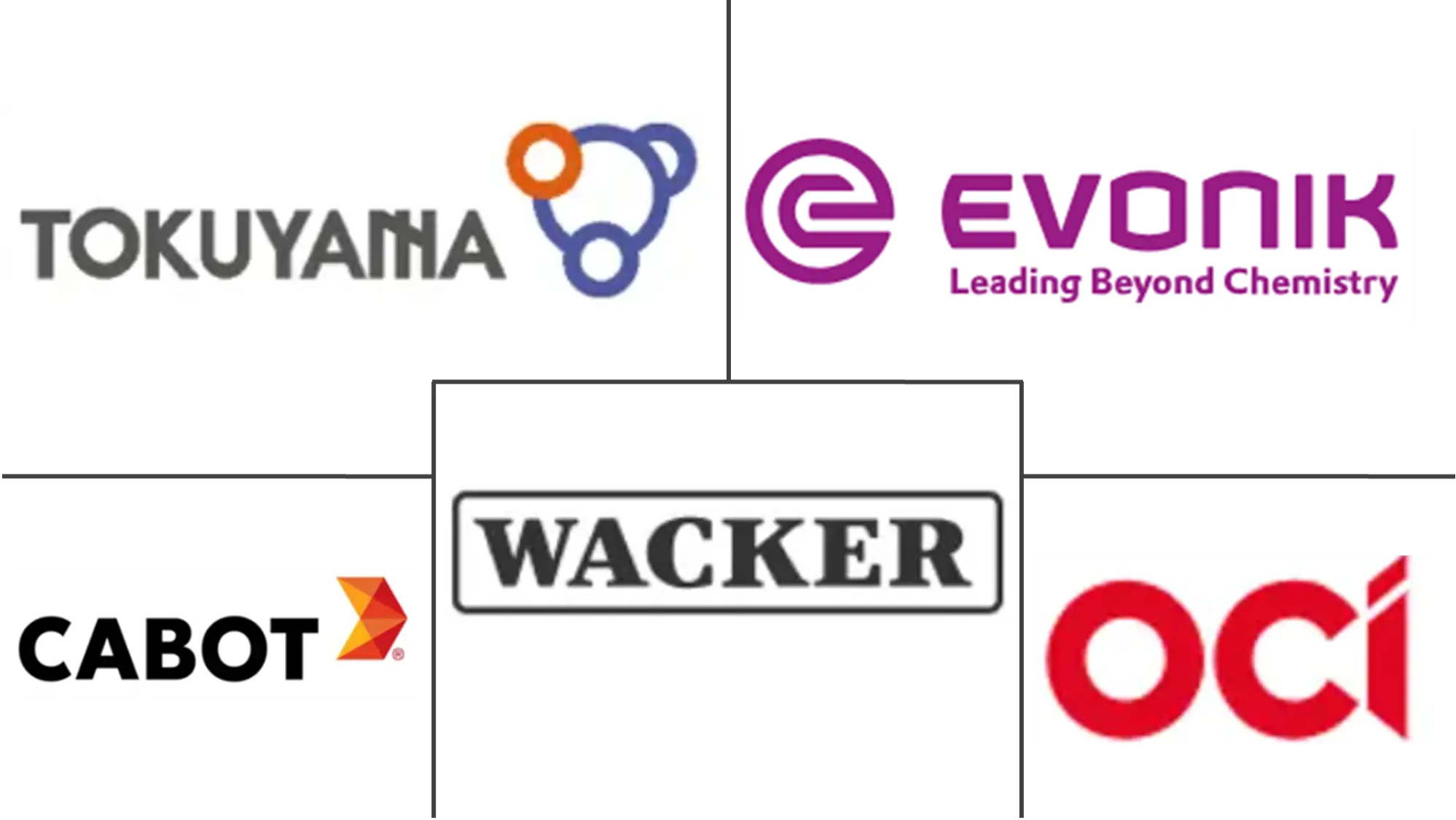 Major players in Fumed Silica industry