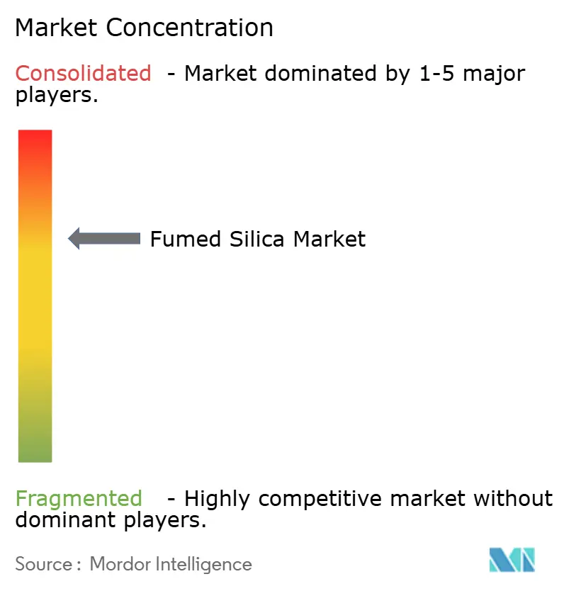 Fumed Silica Market - Market Concentration