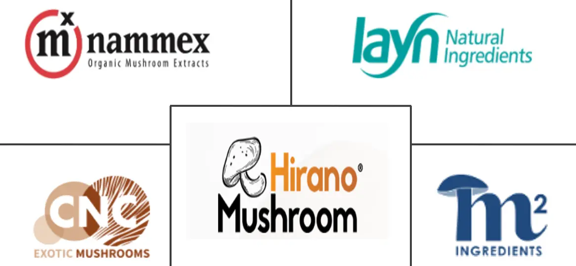 Major players in Functional Mushroom industry