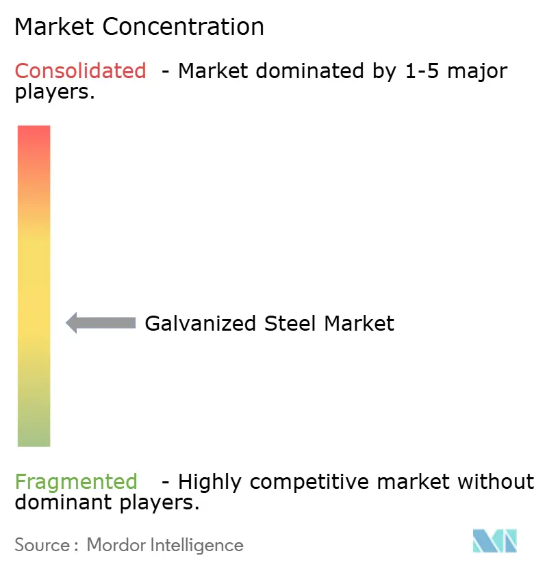Galvanized Steel Market Concentration