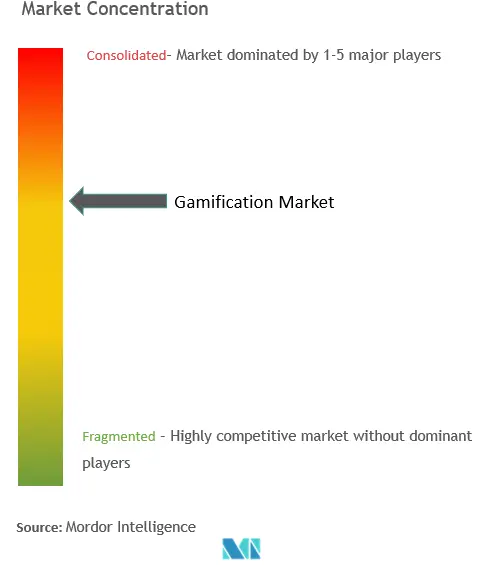 Gamification Market Concentration
