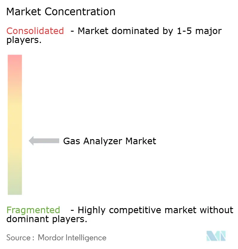 Gas Analyzer Market Concentration Gas Analyzer Market Concentration
