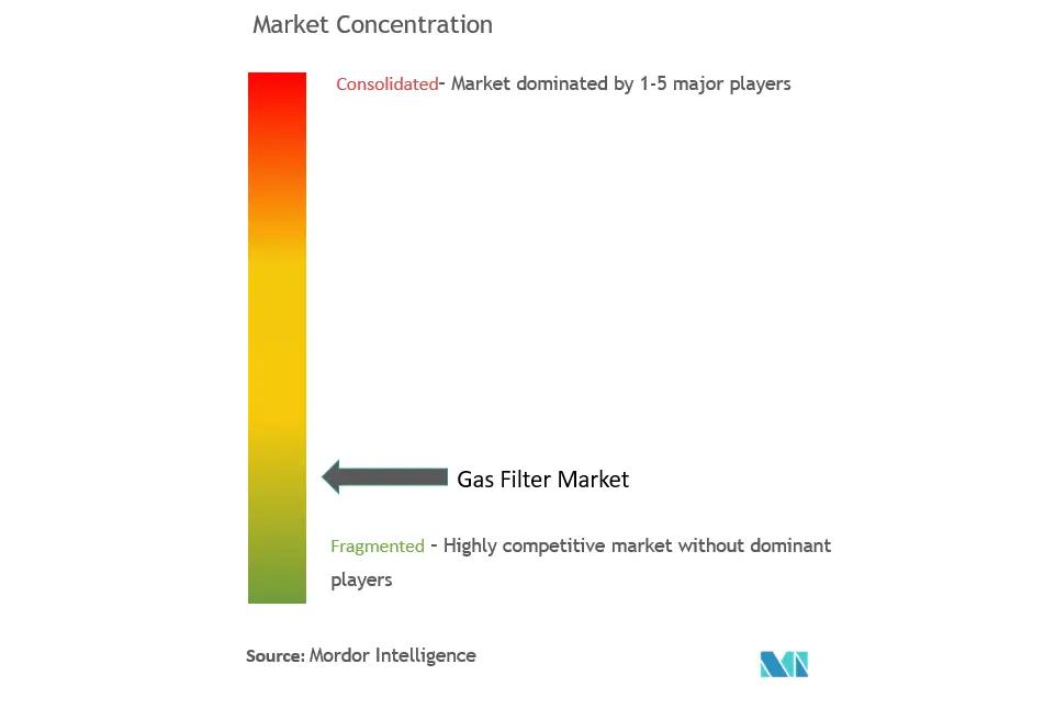 Gas Filters Market Concentration