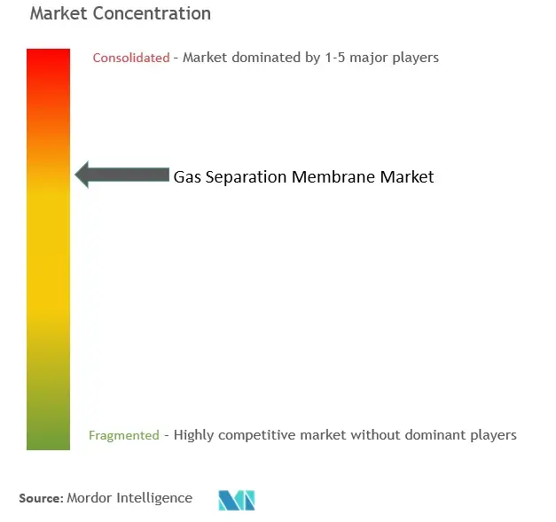 Gas Separation Membrane Market Concentration