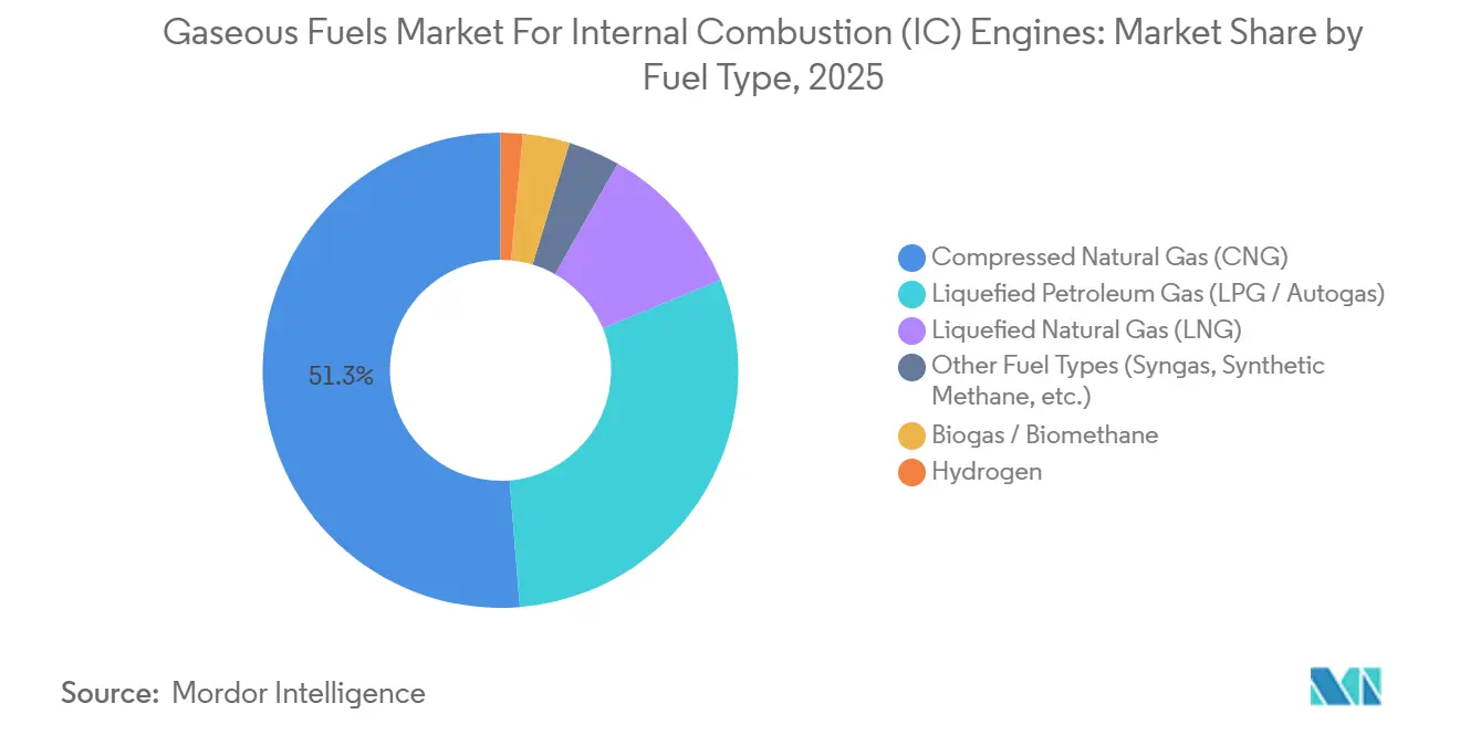 Gaseous Fuels Market For Internal Combustion (IC) Engines Market Share by Fuel Type, 2025
